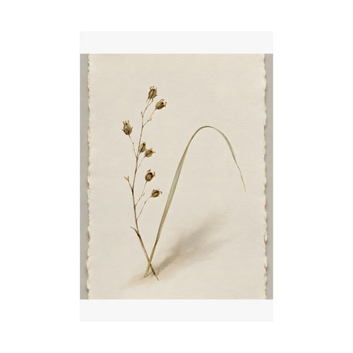 Dried Botanical — Study