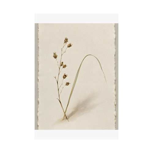 Dried Botanical — Study - DailyFinds